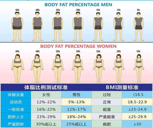 健康減肥16天增肥率怎樣