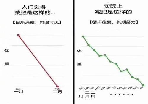 運動減肥體重變化過程,運動減肥體重變化過程圖