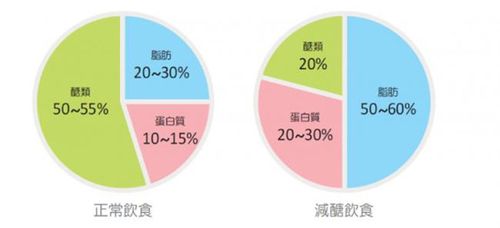 男生(shēng)減脂飲食比例