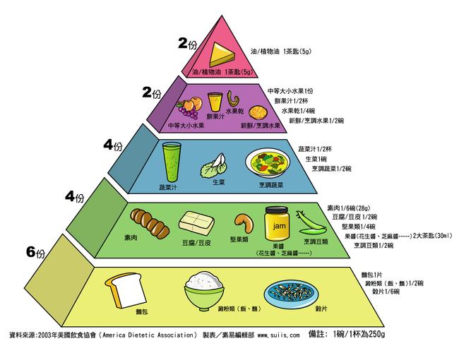 減肥健康的飲食結構圖,減肥健康的飲食結構圖片