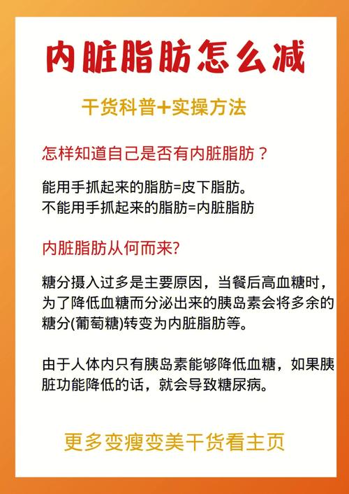 内髒減肥方法,内髒減肥方法有哪些