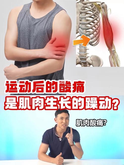 減肥運動肌肉：減肥運動肌肉酸痛有用嗎(ma)？