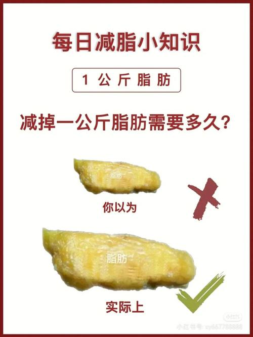 減肥健身吃(chī)點肥肉有影響嗎(ma)