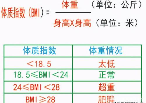 減肥健康速度,減肥健康速度自(zì)身體重的多(duō)少