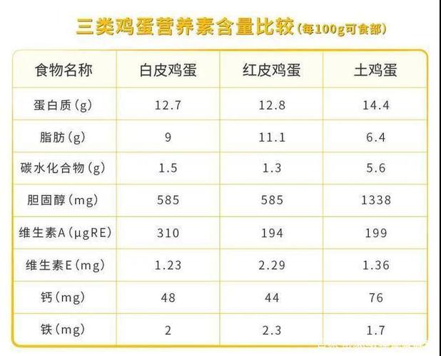 健康之路(lù)一(yī)天一(yī)個(gè)雞蛋減肥,健康之路(lù)雞蛋蛋白(bái)質含量