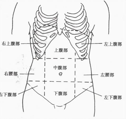 運動減肥小(xiǎo)腹左側疼痛,運動減肥小(xiǎo)腹左側疼痛怎麽辦