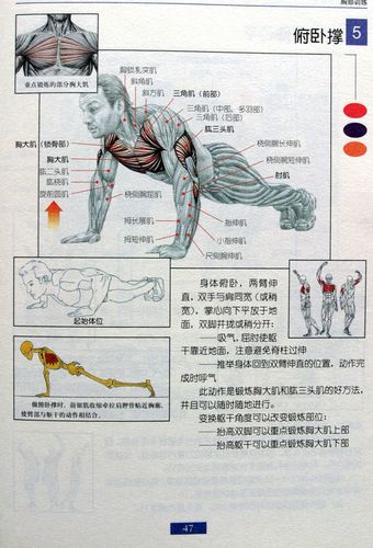 鍛煉身體減肥的方法男人,鍛煉身體減肥的方法男人有哪些