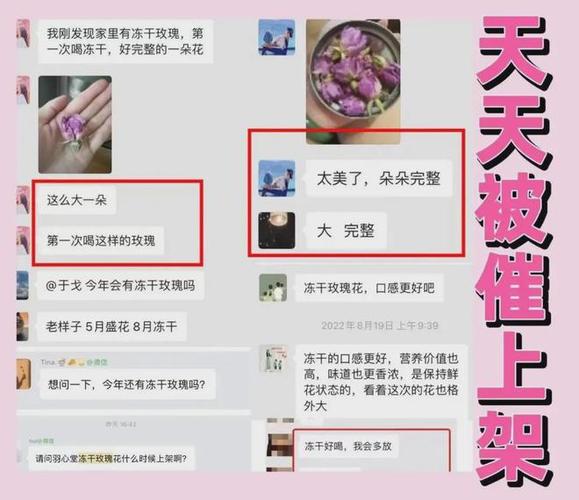 減肥訓練營轉賬,減肥訓練營轉賬怎麽轉