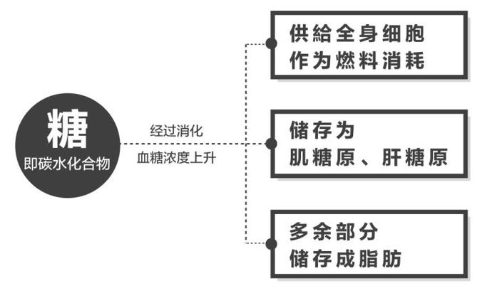 健康減肥化學知識：減肥中的化學知識？