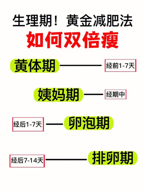 月(yuè)經後減肥黃金期方法是：月(yuè)經後減脂黃金期？