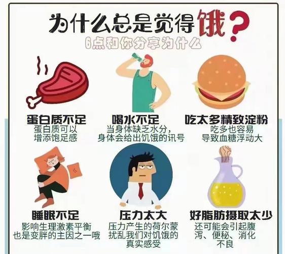 運動減肥覺得餓：運動減肥覺得餓怎麽回事(shì)？