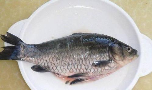 減肥運動吃(chī)什麽魚,減肥運動吃(chī)什麽魚比較好