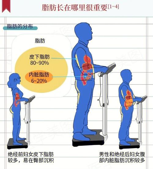 行走運動減肥機(jī)理有用嗎(ma)：行走減肥效果怎麽樣？