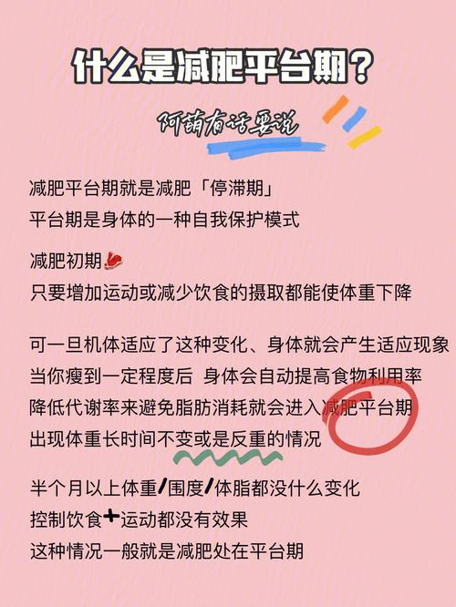 無運動減肥怎樣打破平台期：無運動減脂？