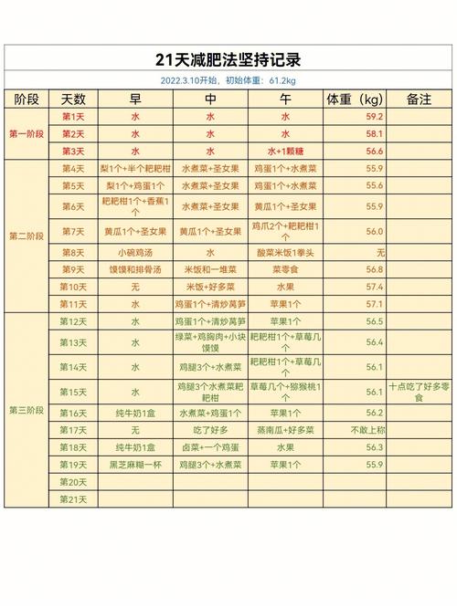 減肥訓練營記錄,減肥訓練營記錄怎麽寫