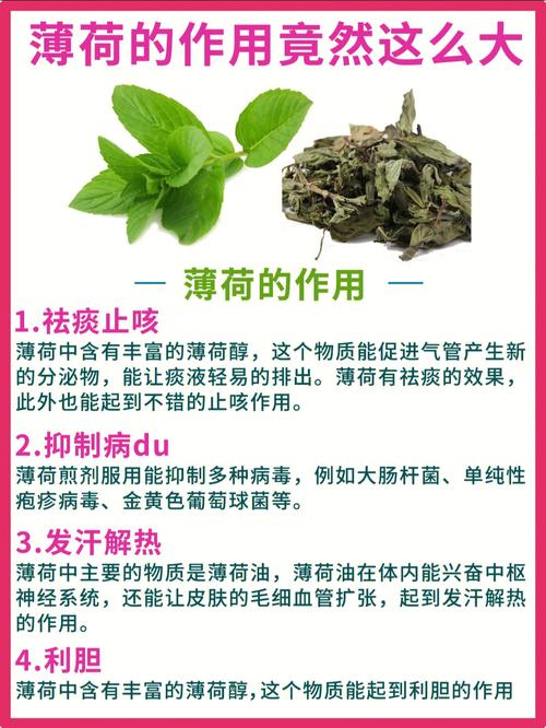 薄荷運動減肥：薄荷減肥方法好嗎(ma)?？