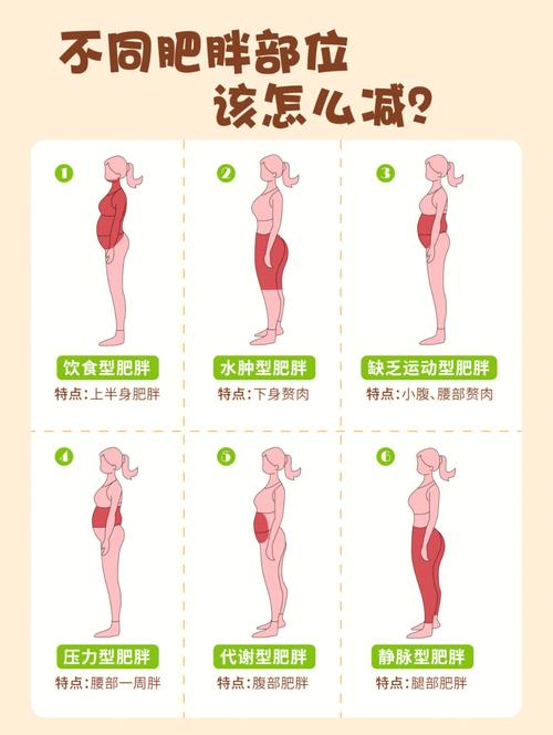 減肥方法瘦腰兩側：減肥方法瘦腰兩側贅肉？