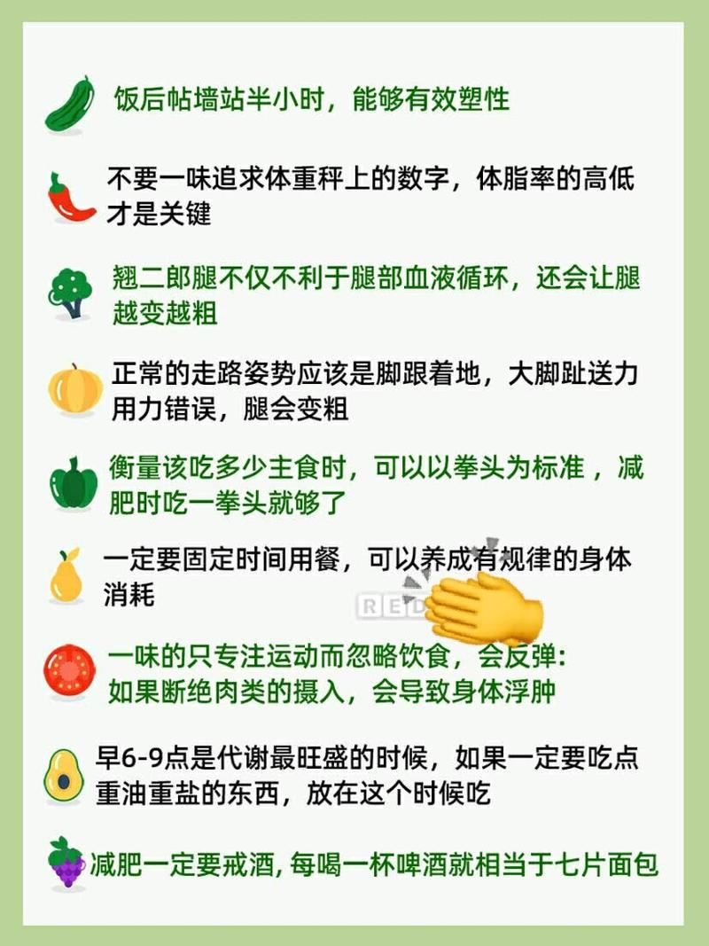 怎麽減肥方法