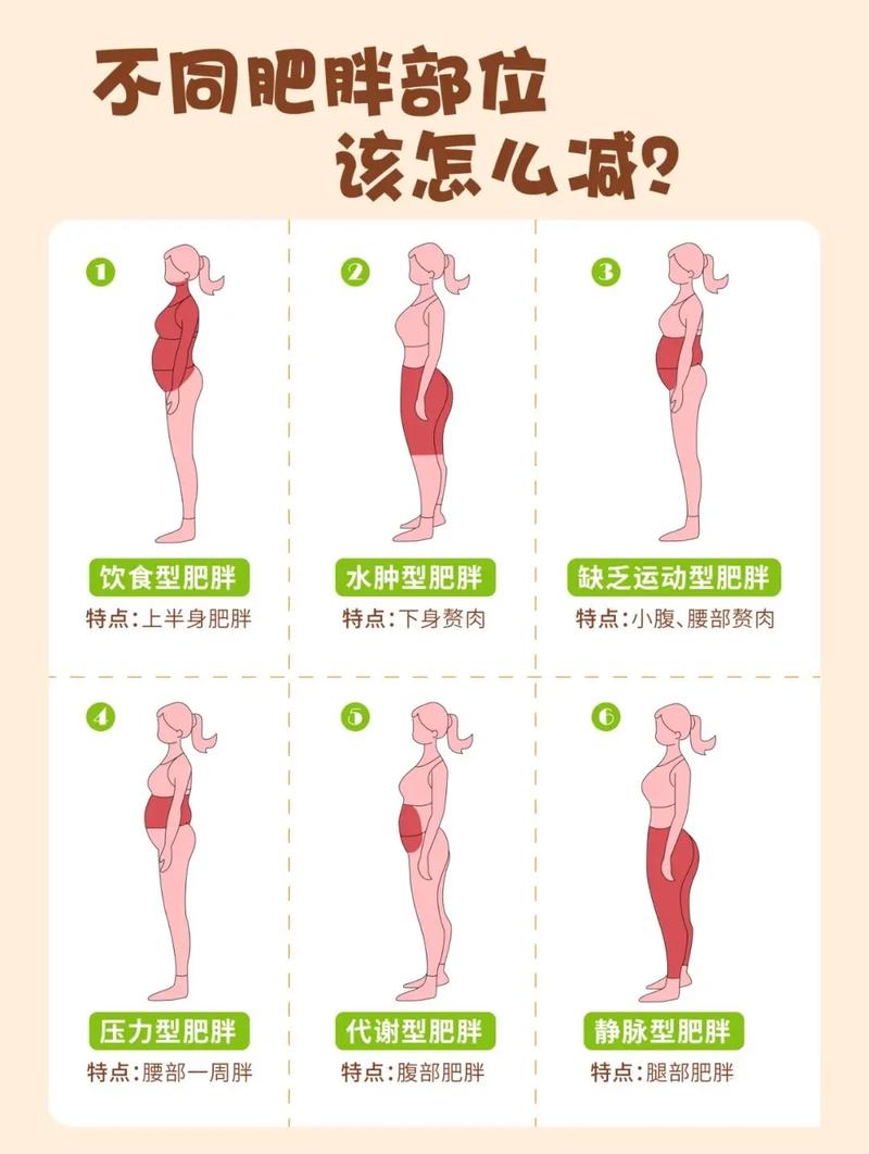 怎麽減肥不太胖的方法,怎麽減肥不太胖的方法有哪些