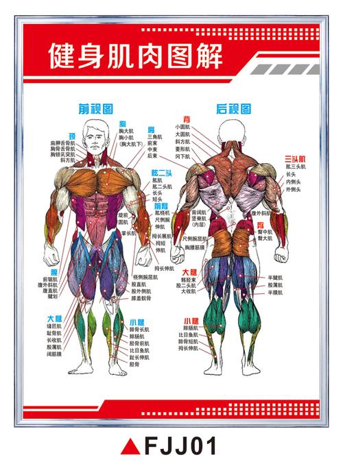 健康肌減肥：健康肌體？