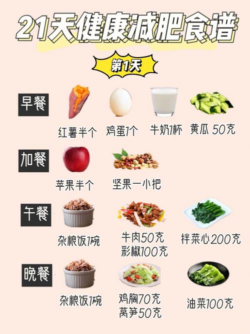 運動減肥食譜app：運動減肥食譜一(yī)日三餐5天減10斤？