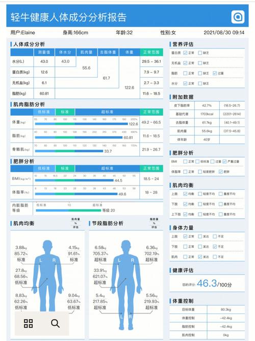 減肥訓練營分析,減肥訓練營分析報(bào)告