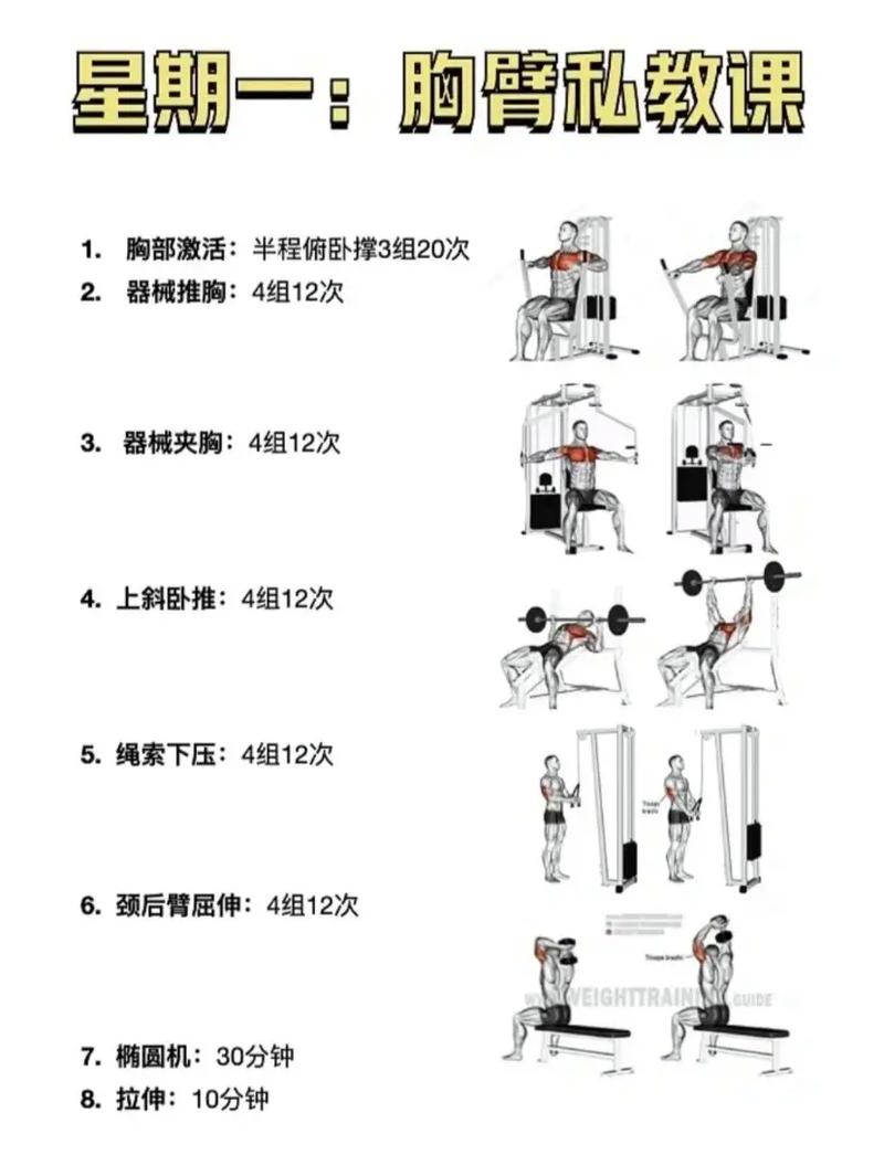 減肥訓練營接站,減肥訓練營流程