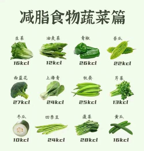 吃(chī)什麽菜不上(shàng)火又(yòu)健康減肥,吃(chī)什麽菜不上(shàng)火又(yòu)健康減肥呢(ne)