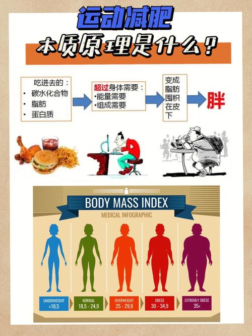 長(cháng)期運動減肥副作用,長(cháng)期運動減肥副作用有哪些