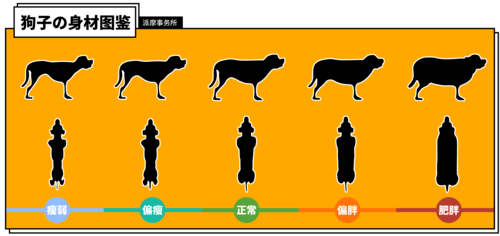 泰哥健康減肥怎麽樣