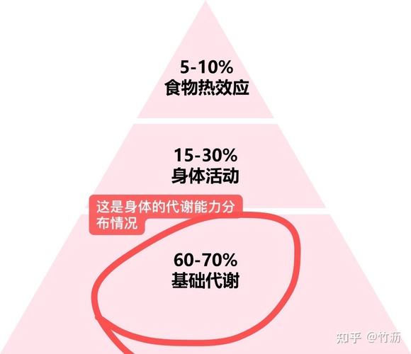 健康飲食減肥會(huì)瘦胸嗎(ma)知乎,健康飲食減肥會(huì)瘦胸嗎(ma)知乎