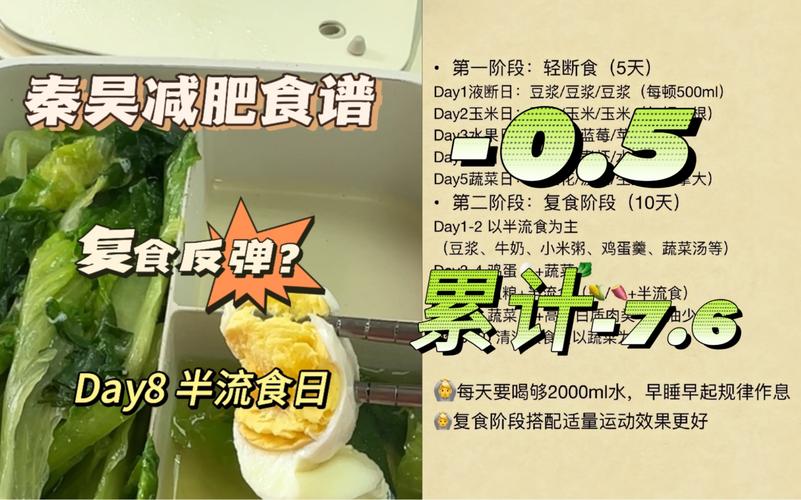 流食減肥方法,流食減肥方法有哪些